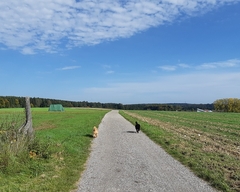 Im Herbst 2019 (13)